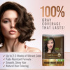 Herbishh Natural Hair Color Shampoo for Gray Hair Argan Hair Mask Travel Size LongLasting Color AmmoniaFree 10 Pack 1 Pa
