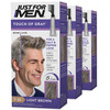 Just For Men Touch of Gray Mens Hair Color Kit with Comb Applicator for Easy Application Great for a Salt and Pepper Loo