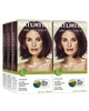 Naturtint 4M Mahogany Chestnut Permanent Hair Color Pack of 6 Ammonia Free Vegan Cruelty Free up to 100 Gray Coverage Lo