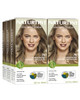 Naturtint 7N Hazelnut Blonde Permanent Hair Color Pack of 6 Ammonia Free Vegan Cruelty Free up to 100 Gray Coverage Long