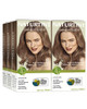 Naturtint 6G Dark Golden Blonde Permanent Hair Color Pack of 6 Ammonia Free Vegan Cruelty Free up to 100 Gray Coverage L