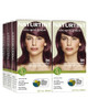 Naturtint 5M Light Mahogany Chestnut Permanent Hair Color Pack of 6 Ammonia Free Vegan Cruelty Free up to 100 Gray Cover