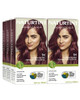 Naturtint 7M Mahogany Blonde Permanent Hair Color Pack of 6 Ammonia Free Vegan Cruelty Free up to 100 Gray Coverage Long