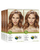 Naturtint 7C Terracotta Blonde Permanent Hair Color Pack of 6 Ammonia Free Vegan Cruelty Free up to 100 Gray Coverage Lo