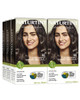 Naturtint 4G Golden Chestnut Permanent Hair Color Pack of 6 Ammonia Free Vegan Cruelty Free up to 100 Gray Coverage Long