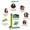 INDUS VALLEY Bio Organic Herbal Henna Powder 100g 100 Pure Henna Hair Colour 100 Natural Hair Dye ChemicalFree Nourishin