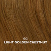 Clairol Professional Beautiful Collection Advanced Gray Solutions 6G Light Golden Chestnut 3 oz Packaging May Vary