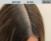 Joan Rivers Great Hair Day Root Touch Up Stick Root Cover Up Gray Hair Coverage and Scalp Concealer for Thinning Hair Bl