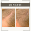 Joan Rivers Great Hair Day Root Touch Up Powder Duo Fillin Powder for Thicker Fuller Looking Hair Light Blonde