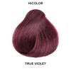 LOREAL TECHNIQUE HiColor Violet Black Shades Permanent Hair Color AntiBreakage Ceramide R Complex MultiLift With No Bras