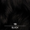 COLORCHARM Demi Permanent Hair Color 1N Black Gloss Refresh Tone 2 Fl Oz