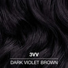COLORCHARM Demi Permanent Hair Color 3VV Dark Violet Brown Gloss Refresh Tone 2 Fl Oz