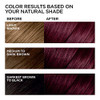 LOreal Paris Feria MultiFaceted Shimmering Permanent Hair Color V38 Violet Noir Hair Dye Kit Pack of 2