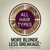 Schwarzkopf Keratin Blonde Hair Dye 80 Medium Blonde Professional Quality Permanent Hair Color Bond Enforcing System Pre