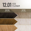 Il Salone Milano Plex Rebuilder Permanent Hair Color Cream 1201 Iced Platinum Hair Dye Kit Professional Salon Premium Qu