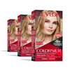 Revlon ColorSilk Permanent Hair Color 100 Gray Coverage Dye Kit AmmoniaFree Keratin and Amino Acids Blonde Shades 73 Cha