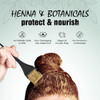 Light Mountain Henna Hair Color Conditioner Color the Gray Chestnut Hair Dye for MenWomen 2Step ChemicalFree SemiPermane