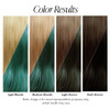 Adore Semi Permanent Hair Color 165 Clover Vegan CrueltyFree Green Hair Dye No Ammonia No Peroxide No Alcohol 4 Fl Oz