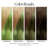 Adore Semi Permanent Hair Color 163 Green Apple 2 Pack Vegan CrueltyFree Green Hair Dye No Ammonia No Peroxide No Alcoho