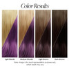Adore Semi Permanent Hair Color 114 Violet Gem 2 Pack Vegan CrueltyFree Purple Hair Dye No Ammonia No Peroxide No Alcoho