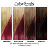 Adore Semi Permanent Hair Color 069 Wild Cherry 2 Pack Vegan CrueltyFree Red Hair Dye No Ammonia No Peroxide No Alcohol
