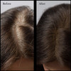 NuBeauti Root Touch Up Powder TruetoNature Hairline Concealer with 11 Shades FragranceFree TalcFree ParabenFree With Bru