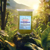 Yauvanya Pure Indigo Powder Indigofera Tinctoria 100 natural chemical free ammonia free Hair Color for hair 100 Gms 1 pa