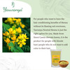 Yauvanya 100 pure Neutral Henna Cassia Obovata Powder for BlondeGolden hair Colorless Henna Natural Hair Conditioner For