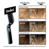 LOreal Paris Colorista Hair Bleach Ombre Hair Color Kit 1 Hair Bleach Kit