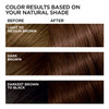 LOreal Paris Feria MultiFaceted Shimmering Permanent Hair Color French Roast Hair Dye Kit Pack of 2