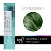 Ion Permanent Brights Creme Hair Color Wintergreen Wintergreen