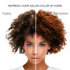 Celeb Luxury Professional SemiPermanent Hair Color Depositing Shampoo Gem Lites Amber Colorwash 825 Fl Oz Pack of 1