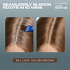 Clairol Root TouchUp by Nicen Easy Permanent Hair Dye 6G Light Golden Brown Hair Color Pack of 2