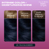 Clairol Bold Bright Permanent Hair Dye 28 Wild Blackberry Hair Color Pack of 1