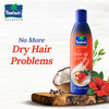 Parachute Advansed Ayurvedic Hot Oil Warming Coconut Hair Oil with 5 Ayurvedic Ingredients Fights Frizzy Dry Hair Nouris