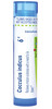 Boiron Cocculus Indicus 6C Homeopathic Medicine for Motion Sickness - 80 Pellets