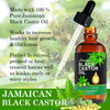 NIFEISHI Jamaican Black Castor OilGlass Bottle 2PCS Organic Castor Oil for Hair Growth 100 Cold Pressed Unrefined Castor
