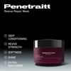 Sebastian Professional Penetraitt Deep Repair Strengthening Masque For Damaged Color Treated Hair 51 fl oz