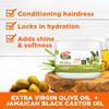 Palmers Olive Oil Formula Gro Therapy for Healthy Hair and Scalp 88 Ounces Pack of 2