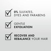 Nexxus SulfateFree Scalp Scrub Hair Treatment Exfoliating and Nourishing Detox Hair Care 1125 oz