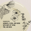 Davines OI Oil MultiFunction Potion for All Hair Types Weightless AntiFrizz ShineEnhancing Serum with Roucou Oil Detangl