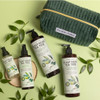 Pharm to Table Scalp Relief Tea Tree Soothe Purify Healthy Hair Set