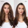 shu uemura art of hair Essence Absolue Nourishing Protective Hair Oil Lightweight MultiBenefit Leave In Treatment Hydrat