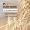 Wells Oil Rice Bran Oil 8 oz 100 Pure Rice Bran Oil Carrier Oil For Skin Hair DIY Creams Lotions