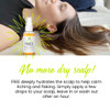 Isabellas Clearly FREE Natural Dry Scalp Oil for Itching Flakes Jojoba Tea Tree Manuka Cedarwood LeaveIn Scalp Treatment