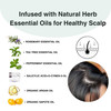 Moist Diane Anti Dandruff Conditioner for Oily Hair Hydrating Conditioner for Women Men by Argan Oil Mint Rosemary Ginge
