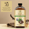 Handcraft Blends ColdPressed Organic Castor Oil 16 Fl Oz Glass Bottle 100 Pure and Natural Premium Grade Carrier Oil Hai