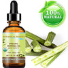 Botanical Beauty Organic Moringa Oil 100 Pure Natural Undiluted 1 Floz 30 ml for Face Skin Hair Lips Body Nails Rich in