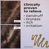 KAMEDIS Scalp Moisturizer Lotion For Dry Itchy Dandruff Flaky Sensitive Scalp OverNight Mask Treatment BotanicalsBased P