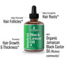 Jamaican Black Castor Oil for Hair Growth Strengthens Hydrates Thinning Dry Hair for a HealthierLooking Scalp For Women